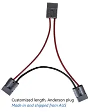 50A Anderson fit plug cable connected in series. Customized config.