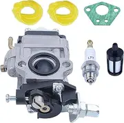 15mm Carburetor Carb Fuel Filter Line Hose Gasket Kit for 2 Stroke 43cc 47cc 49cc Chinese Hede Trimmer Brush Cutter Blower Part