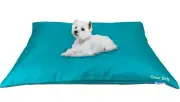 Do It Yourself DIY Durable Waterproof Pet Dog Bed Cover 37"x29" Medium Peacock