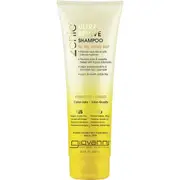 Giovanni Shampoo 2chic Ultra Revive Dry, Unruly Hair(Pineapple & Ginger) 250ml
