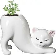 Creative Hydroponics Plants Desktop Vase Holder - Cute Cat for Home Garden, Wedding Decoration | Outdoor Planter