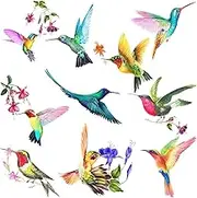 20 Pieces Large Size Hummingbird Window Hummingbird Decals for Windows Anti-Collision Window Clings Decals to Prevent Bird Strikes on Glass Non Adhesive Vinyl Cling Stickers