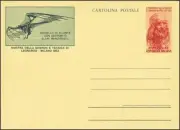 1953 Italia Repubblica-I.P. -Leonardo Da Vinci L.20 rosso (C152-1/5) 339/s329