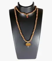 12 Mukhi Rudraksha Pendant from Nepal Attached In 5 Mukhi Rudraksha Mala