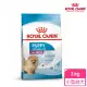 【ROYAL 法國皇家】小型室內幼犬專用飼料 MNINP 3KG(小顆粒 狗乾糧 狗飼料)