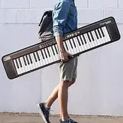 Smart Portable Electronic Organ, 61-Keyboard Piano for Beginners, A Kindergarten Teachers,and Adult Music Lovers,Black,Standard Edition