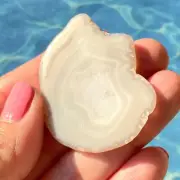 Mexican Laguna Agate Freeform Slice 47x37 MM White Cabochon Gemstone