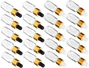 20 Pack Essential Oil Glass Dropper Bottles Portable Travel Bottles Leakproof Cap for DIY Aromatherapy