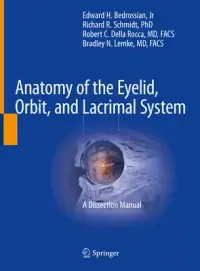 在飛比找博客來優惠-Anatomy of the Eyelid, Orbit, 