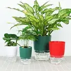 absorption Lazy Flower pot Self Watering Flowerpot Self-watering Planter Pot