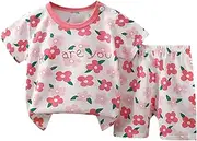 Princess Has Arrived Shirts Spring Summer and Autumn Comfortable and Fashionable Children's Clothing Suits Big Blankets for Baby Girl