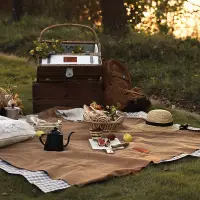 在飛比找樂天市場購物網優惠-野餐墊地毯防潮墊加厚戶外便攜草地公園郊游春游墊子野餐布墊露營