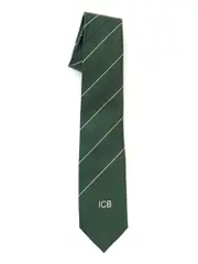 Snr Boys Tie