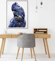Black Cockatoo A Canvas