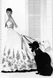 AUDREY HEPBURN 5X7 Glossy Photo