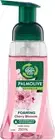Palmolive Foaming Hand Wash Soap 250mL Japanese Cherry Blossom Pump, No Parabens