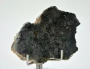 8.34g Eucrite Monomict Slice | HED NWA 8555 - TOP METEORITE