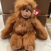 TY Classic Plush TANGO the Monkey (Brown version)