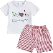 [Geagodelia] Baby Boy 1st Birthday Outfit Short Sleeve Top and Shorts 1 Year Old Baby Birthday Clothes for Cake Smash