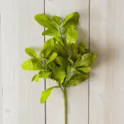 Beech Leaves 18.5" H Faux Foliage Spray