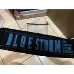 CNBLUE BLUE STROM演唱會官方應援毛巾