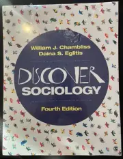 BUNDLE: Chambliss: Discover Sociology 4e (Paperback) + Chambliss; Discover Soci