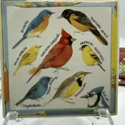 Marjolein Bastin Hallmark Birds Art Pencils Ceramic 6"x6" Wall Plaque/Trivet