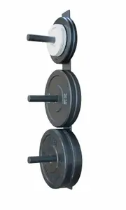 Wall Mounted Bumper Plate Storage Rack - 100kg Load Capacity