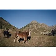 Save 5.56%! From Barcelona to Andorra Small Guided Group Day Tour
