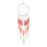 Dreamcatcher With Lace Tassels Boho Wall Hanging Art Decor Tapestries