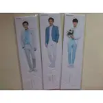 EXO 伯賢 CHEN NATURE REPUBLIC NR 自然樂園 2016 官方周邊 立牌