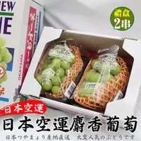 在飛比找ETMall東森購物網優惠-果物樂園-日本麝香葡萄2房禮盒(約1kg/盒)