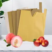 在飛比找松果購物優惠-桃子專用套袋水蜜桃冬桃蟠桃黃桃專用紙袋防鳥蟲桃子專用果樹套袋