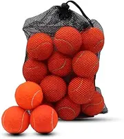 Swingers Tennis Balls，20 Pack Training Tennis Balls,Exercise Balls for Pet Dog, High Elasticity Practice Tennis Balls for Beginner, with Mesh Carry Bag Easy to Transport