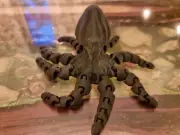Octopus articulated Bottle topper, Fidget Toy, Desk Toy, gift box set 3D Printed