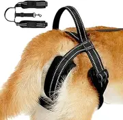 Dog Sling for Back Legs,Reflective Strips Adjustable Comfortable Hip Support Harness | Dog Sling Adjustable Comfortable Sturdy Handle Dog Lift Harness Vest Harnesses