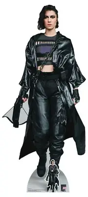 Huntress Helena Bertinelli Birds of Prey Lifesize and Mini Cardboard Cutout