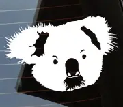Cute koala Funny Australian Animals Driving licence drop bear Angry car sticker