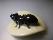 WADE WHIMSIE NEW RELEASE ANT ON PEARL LEAF LE 100