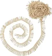 PHENOFICE Tassel Decorative Accessories Fabric Trim Tassel Trim Fringe Lace Trimmings Decorative Sewing Embellishments Home Fringing for for Clothing Light Brown Fabric