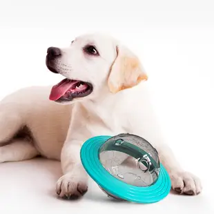 【P&H寵物家】狗狗不倒翁漏食餵食器 飛盤玩具(磨牙玩具 漏食玩具 寵物玩具 狗狗玩具)
