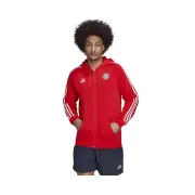 Sweatshirts Training Men Adidas FC Bayern Dna FZ HD HF1356 Red