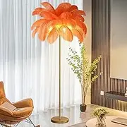 Ostrich Feather Floor Lamp, Ostrich Feather Floor Lamp with LED Bulbs Standing Lamp, 6 x LED Bulbs Included Bulb Golden Lamp Body for Living Room Bedroom 160cm Tall Reading Light,Orange