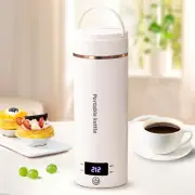 Travel Electric Kettle Portable Mini Kettle,Small Hot Water Boiler with 4 Temper