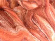 160g Varigated Caramel Orange Cream & Black Wool Roving