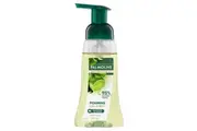 Palmolive Foaming Antibacterial Hand Wash Soap, 250mL, Lime & Mint Pump