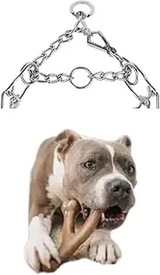 Adjustable Dog Collar with Locking Quick-Release Buckle Chrome (Removable Links) Leash Training Not Chaining Please! (Extra Large 20'' 22'' inch)