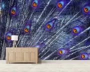 3D Peacock Feather A11786 Animal Wallpaper Mural Self-adhesive Removable Amy