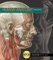 Dover Pictura Electronic Clip Art Ser.: Human Anatomy by Alan Weller (2011, CD-R