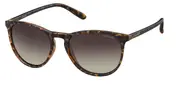 POLAROID-PLD 6003/N/S-V08-5419-SUNGLASSES